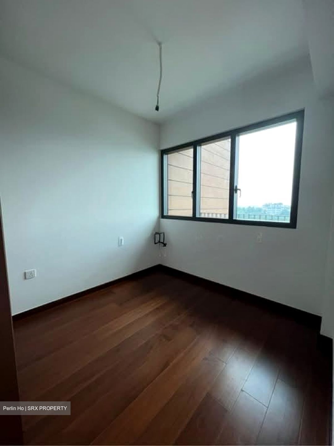 Normanton Park (D5), Apartment #576149261